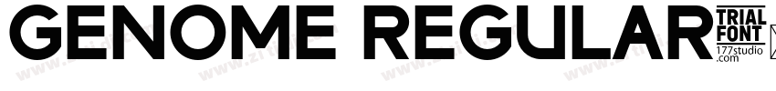 Genome Regular字体转换
